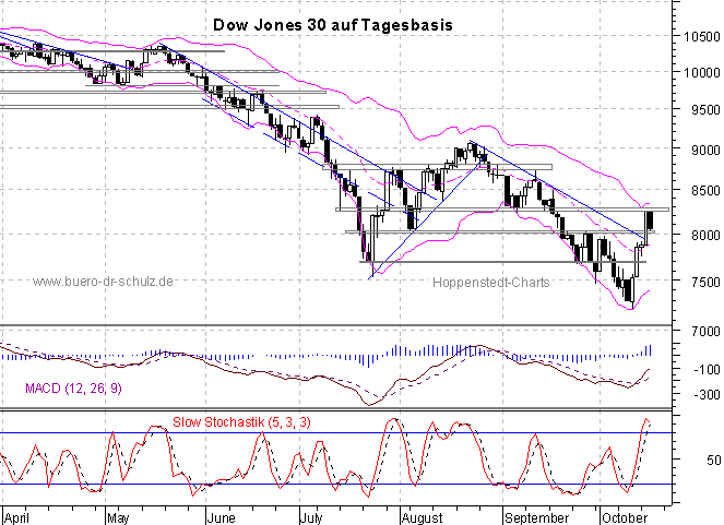 6-Monats-Tagescandles