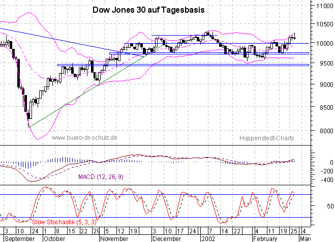 6-Monats-Tagescandles