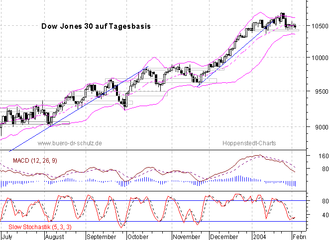 6-Monats-Tagescandles